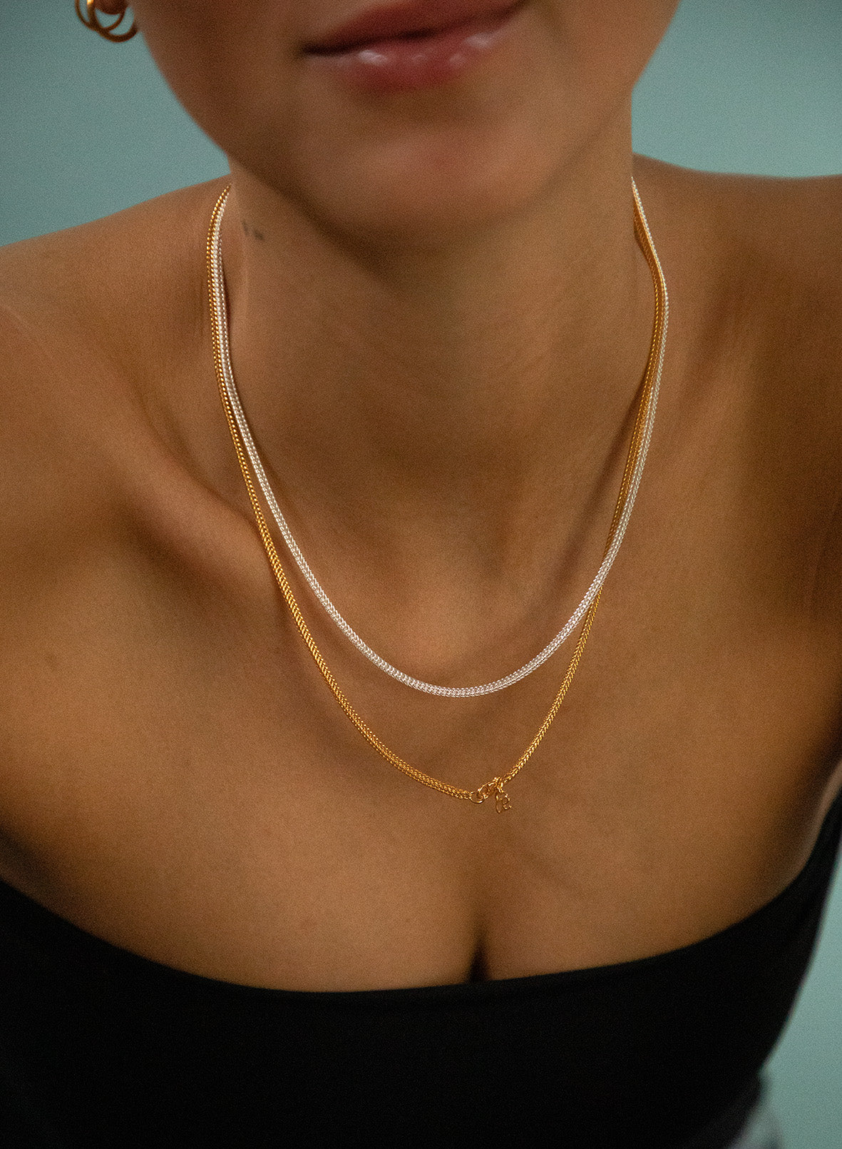 fox chain