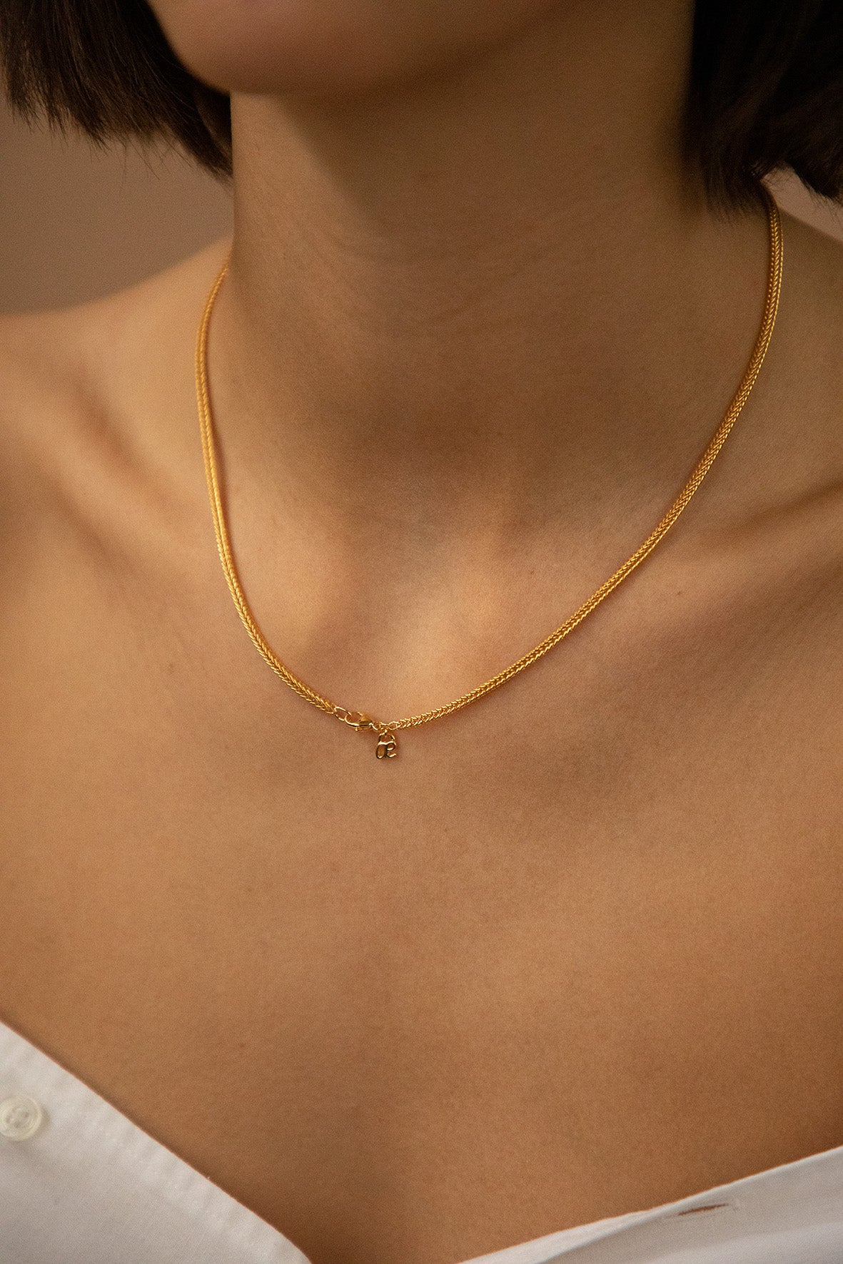 fox chain