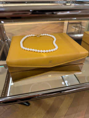 ae jewelry box _ leather cognac limited edition