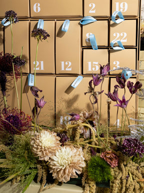 ae adventskalender 2021 _ to sweeten your december & beyond
