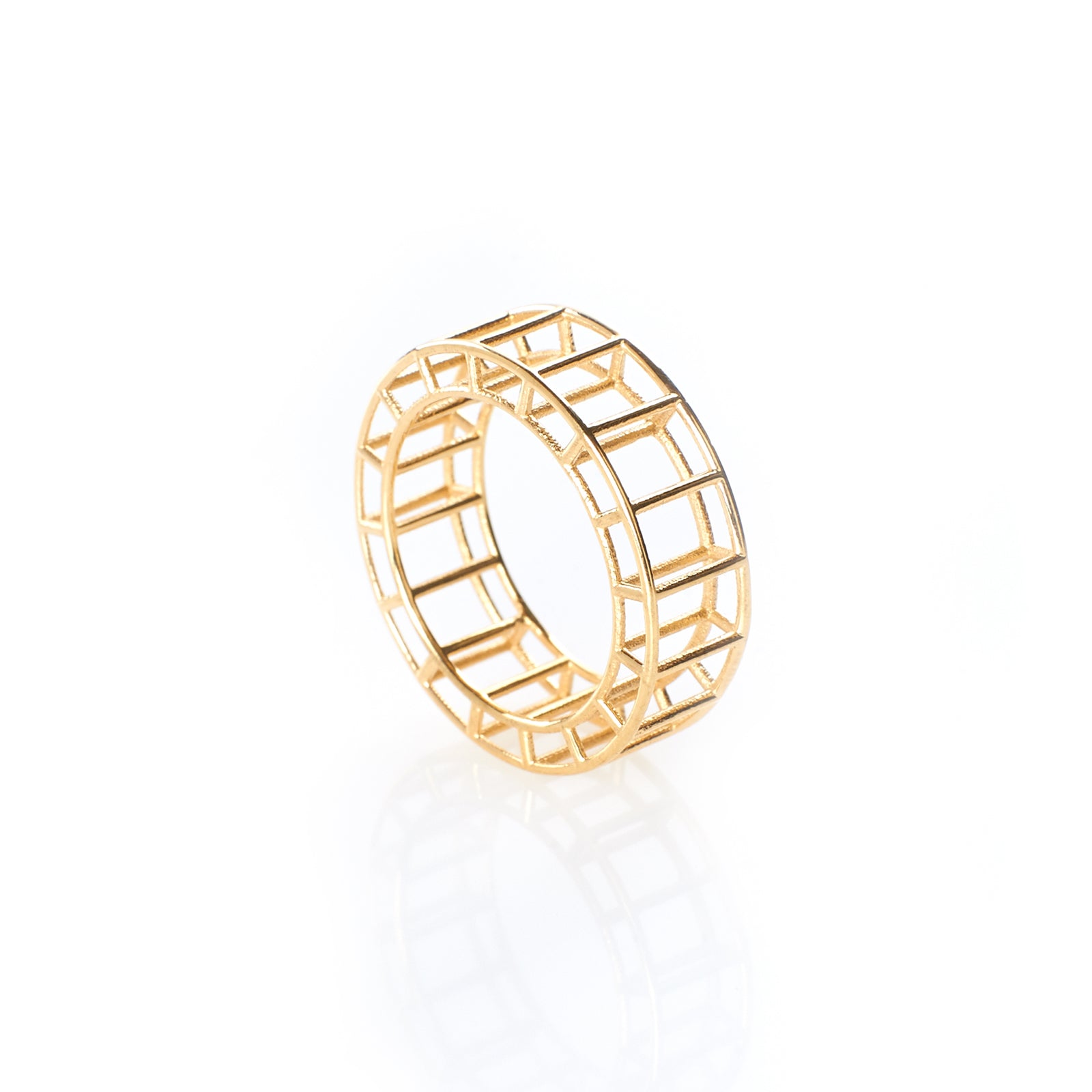 cage ring no.2